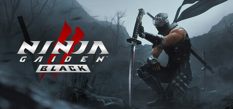 Ninja Gaiden 2: Black - Dicas